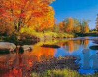 火山棋牌炸金花-火山棋牌炸金花，一场智慧与运气的较量